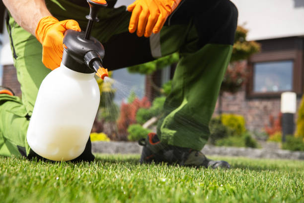 Best Pest Control Treatment  in San Carlos, TX